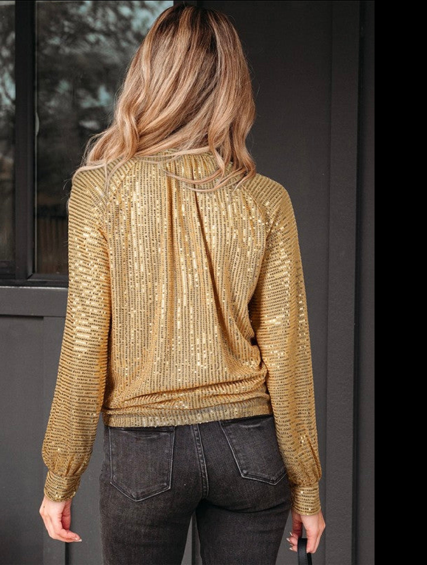 Solid Metallic Sequin Balloon Sleeve Blouse